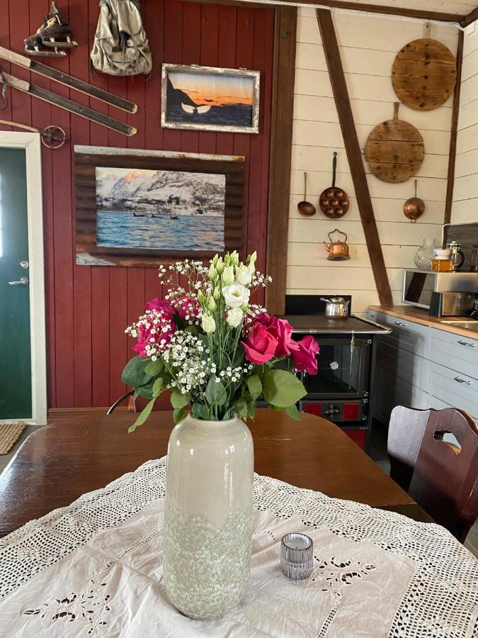 Kraemarvika Lodge Тромсё Экстерьер фото