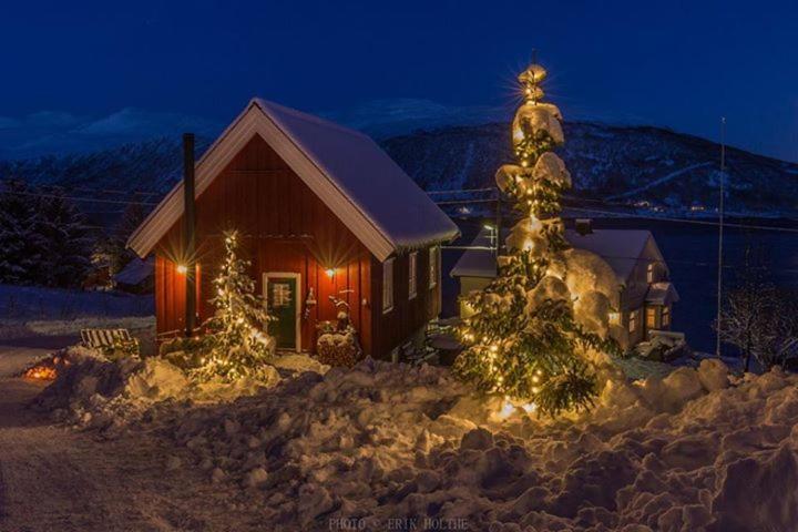 Kraemarvika Lodge Тромсё Экстерьер фото
